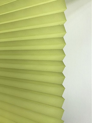 Plicell Parrot